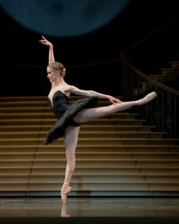 Swan Lake